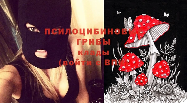 сатива Абаза