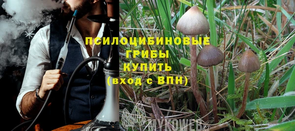 apvp Алексин