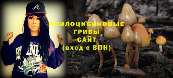 сатива Абаза