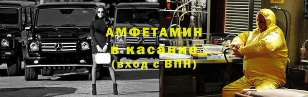 сатива Абаза